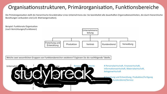 119 - Organisationsstrukturen, Primärorganisation, Funktionsbereiche